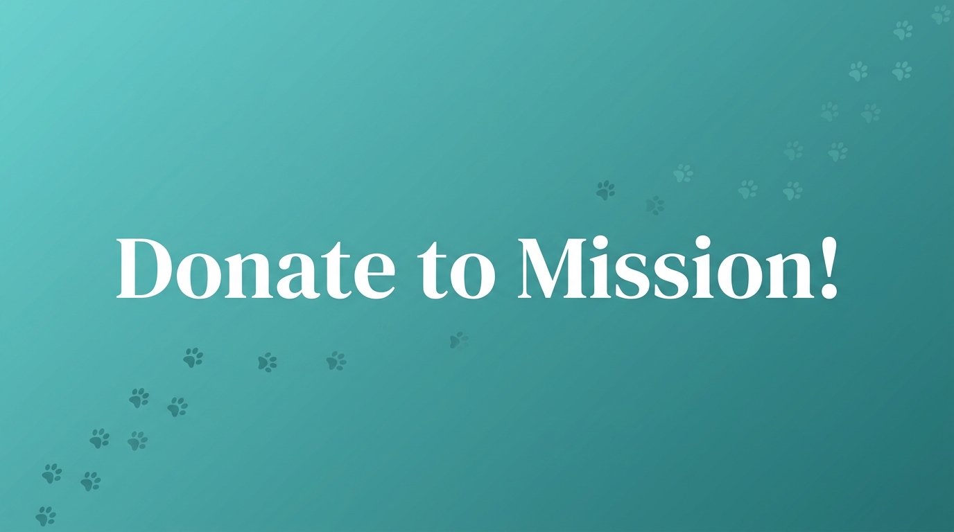Donate to Mission!